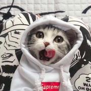 阿寿105的个人资料头像