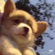 请多关赵256的个人资料头像