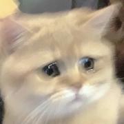 JLing的个人资料头像