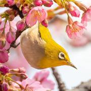 MoMo_ZHU的个人资料头像