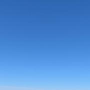 冬青590的个人资料头像