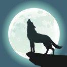 煙消雲散夢的个人资料头像