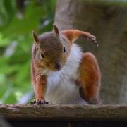 我不吃葱花的个人资料头像