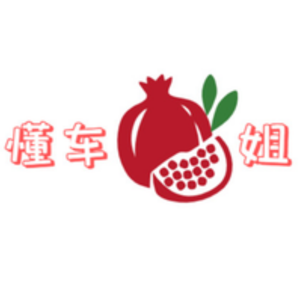 懂车石榴姐头像