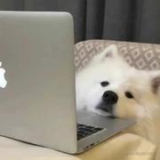 76433橘子的个人资料头像