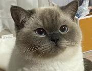 linbiaojj的个人资料头像