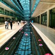 谈文刚的个人资料头像