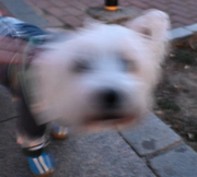 十七111的个人资料头像