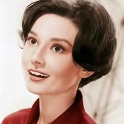 山有木兮某的个人资料头像