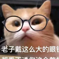快乐的肥龙lllll头像