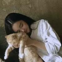 女司机是我呀头像