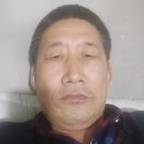 花开满天飞头像