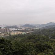 nginx_creator的个人资料头像