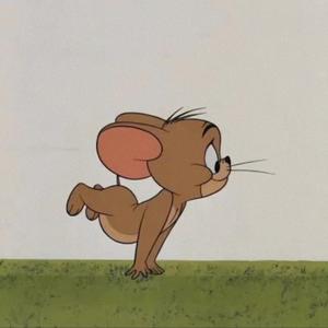 小黑讲科普头像
