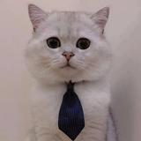 月月月月3663头像