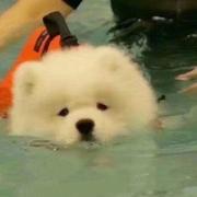 青山无尽的个人资料头像
