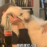 热茶烈酒73头像