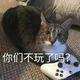 枫海935 · 奥迪Q4 e-tron车主·车龄1年头像