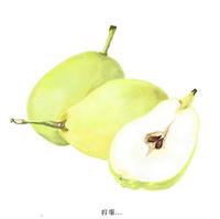 倪子凡头像
