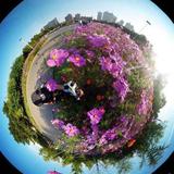 正能量可乐J头像