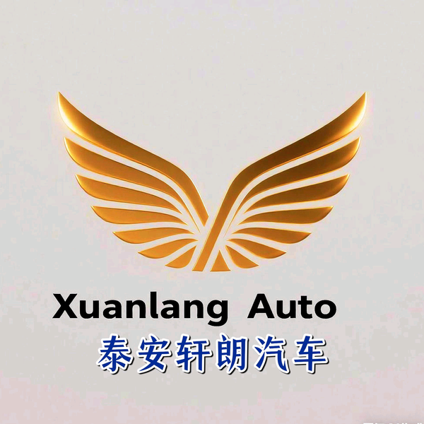 老梁一本正经说车头像