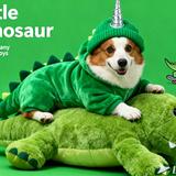 北极熊吞噬星星头像