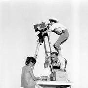 晗情此世的个人资料头像