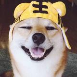 Chenz665头像