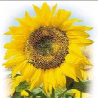 用户8011710114399头像