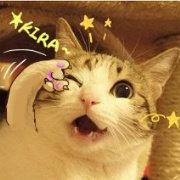 bigbobi的个人资料头像