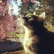 Koka的个人资料头像