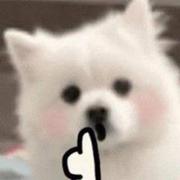 wanwan_wood的个人资料头像