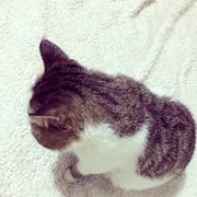 小武君的个人资料头像