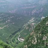 小沈头像
