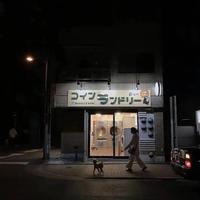 情感的曙光头像