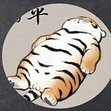 如法自律头像