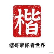 楷哥遇上小柠檬的个人资料头像