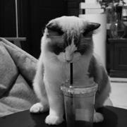 用户48130876767的个人资料头像