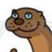 懒胖的个人资料头像