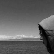 哪个的个人资料头像