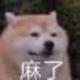你懂不懂什么是青春啊头像