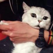 王岐岐i的个人资料头像