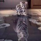 Hubery重名了的个人资料头像