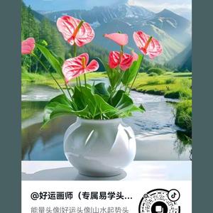 是福影视头像