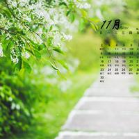 前沿科技辣评头像