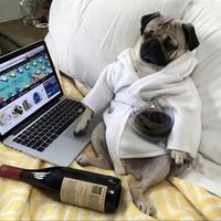 用户4242772187724头像