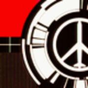 用户2400989125293400的个人资料头像