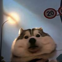 用户2673923379816头像