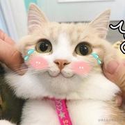 结言的个人资料头像