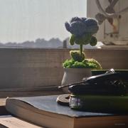 鹤乾的个人资料头像